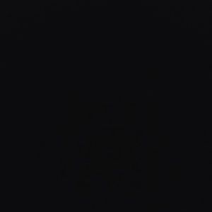 Meet your Posher, Jazzy